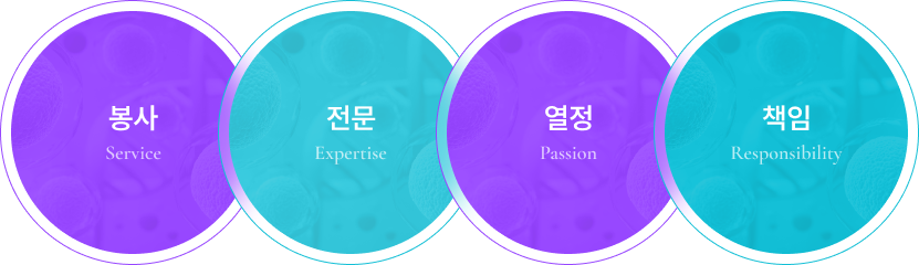 다이어그램 봉사/전문/열정/적임